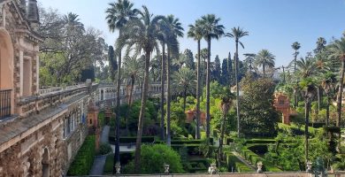Una vista panorámica de los bien cuidados Jardines del Alcázar, con altas palmeras, rodeados por un paseo elevado con arcos, bajo un cielo azul despejado. Esta escena serena puede ser explorada durante el Recorrido Guiado por el Alcázar de Sevilla. La imagen captura la belleza y la tranquilidad de los Jardines del Alcázar, un espacio verde bien mantenido que contrasta con la imponente arquitectura del Palacio. Las altas palmeras y el paseo elevado con arcos crean una vista pintoresca y apacible. Este entorno sereno puede ser disfrutado por los visitantes durante el recorrido guiado por el Alcázar de Sevilla, donde tendrán la oportunidad de explorar y apreciar la armonía entre la naturaleza y la arquitectura que caracteriza a este sitio histórico. La imagen transmite la atmósfera relajante y la belleza de los Jardines del Alcázar, invitando a los visitantes a sumergirse en este oasis de tranquilidad durante su visita al Alcázar de Sevilla.