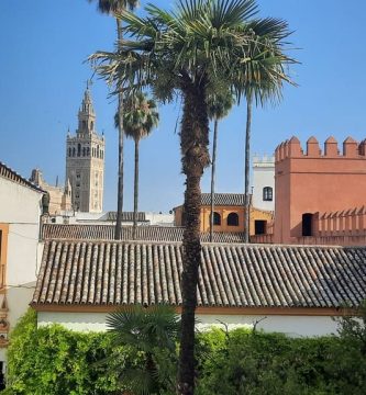 Una escena pintoresca que muestra la Torre Giralda elevándose sobre los edificios blancos andaluces y las palmeras, vista desde la azotea del Alcázar de Sevilla. La imagen captura la imponente presencia de la Torre Giralda, enmarcada por la arquitectura tradicional andaluza y la vegetación circundante. Los edificios de color blanco y las frondosas palmeras crean un entorno armónico que resalta aún más la belleza y la importancia histórica de este icónico monumento. Desde la azotea del Alcázar, los visitantes pueden disfrutar de una perspectiva privilegiada para admirar la Torre Giralda y su entorno. Esta vista panorámica invita a los espectadores a apreciar la integración de la arquitectura almohade con los elementos característicos de la región, como los edificios blancos y las palmeras. La imagen transmite la belleza y la serenidad de este escenario, ofreciendo a los visitantes la oportunidad de explorar y comprender mejor la riqueza cultural y patrimonial del Alcázar de Sevilla y sus alrededores.