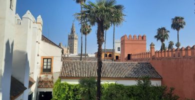 Una escena pintoresca que muestra la Torre Giralda elevándose sobre los edificios blancos andaluces y las palmeras, vista desde la azotea del Alcázar de Sevilla. La imagen captura la imponente presencia de la Torre Giralda, enmarcada por la arquitectura tradicional andaluza y la vegetación circundante. Los edificios de color blanco y las frondosas palmeras crean un entorno armónico que resalta aún más la belleza y la importancia histórica de este icónico monumento. Desde la azotea del Alcázar, los visitantes pueden disfrutar de una perspectiva privilegiada para admirar la Torre Giralda y su entorno. Esta vista panorámica invita a los espectadores a apreciar la integración de la arquitectura almohade con los elementos característicos de la región, como los edificios blancos y las palmeras. La imagen transmite la belleza y la serenidad de este escenario, ofreciendo a los visitantes la oportunidad de explorar y comprender mejor la riqueza cultural y patrimonial del Alcázar de Sevilla y sus alrededores.