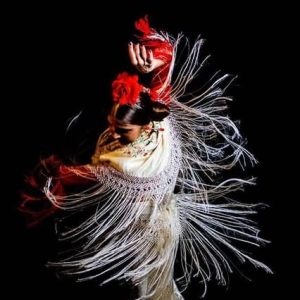 Flamenco bailando