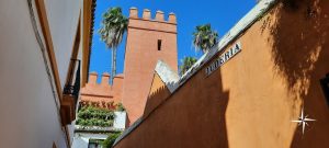 Calle típica del Barrio de Santa Cruz en Sevilla – Judería histórica